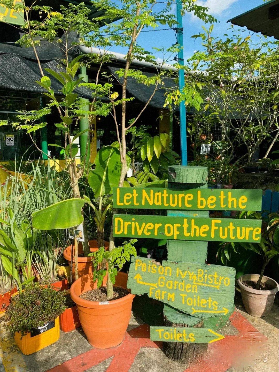 新加坡有機農場牧場？還能和羊咩咩親密接觸