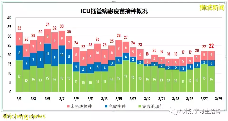 新增8164起,目前住院病患728人;新加坡接種冠病疫苗後疑似不良反應繼續維持在低水平