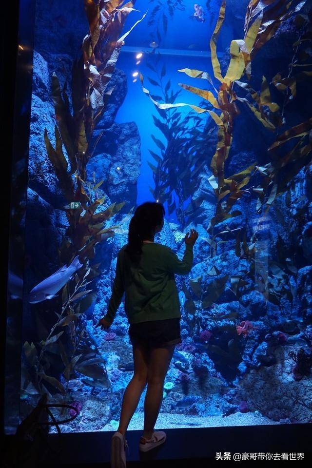 新加坡不枉此行的10大看點（中）分三集介紹