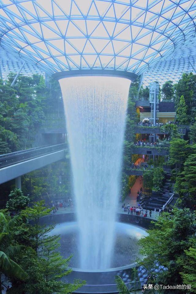 凭什么去新加坡都为它刷屏