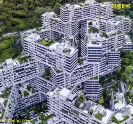 你以为的新加坡真的是你以为吗