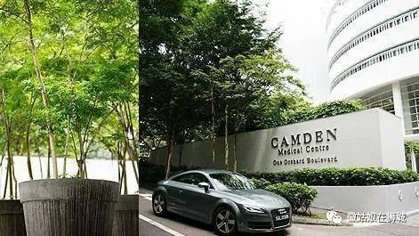 新加坡醫療服務科普