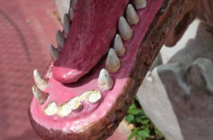 开幕不到一周， 樟宜机场连道一只小恐龙被当马骑，5颗牙齿被拔光