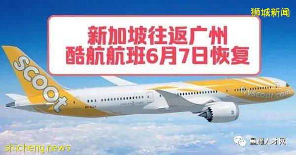 新航、勝安航空調整航班!7月新加坡中國航班往返攻略。請求增加中美往返航班,美交通部拒絕,原因是要滿足這個條件!