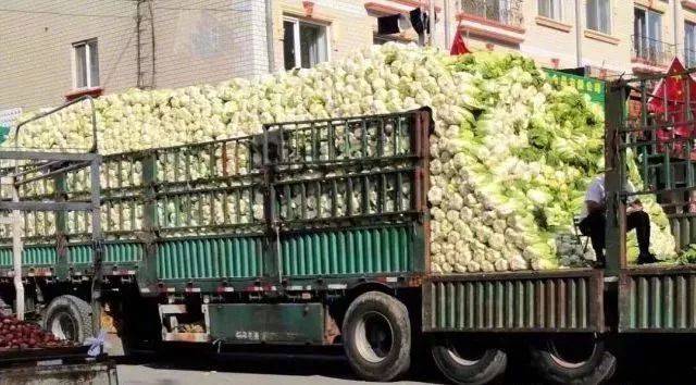 《新加坡最炫東北人圖鑒》