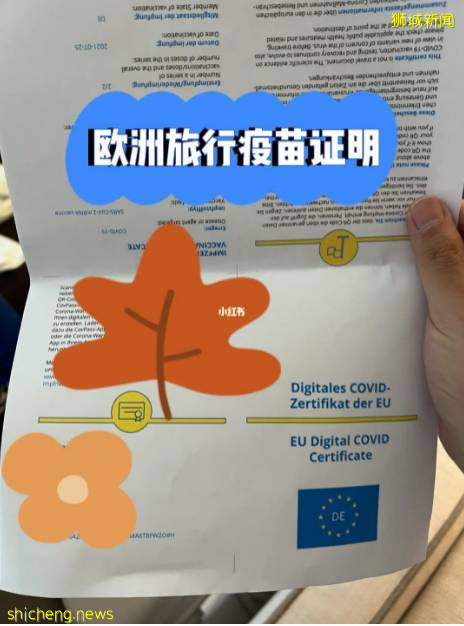 “最近!我從新加坡飛德國、法國免隔離度假,猜猜花了多少錢~”