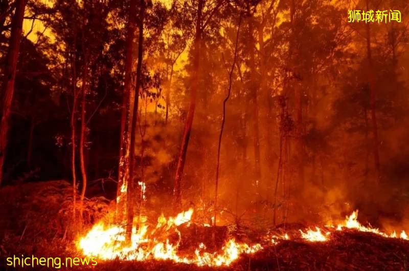 全球確診破700萬!2020,見證曆史的一年!