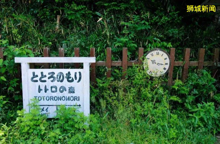 新加坡再上热搜,新加坡移民话题引关注