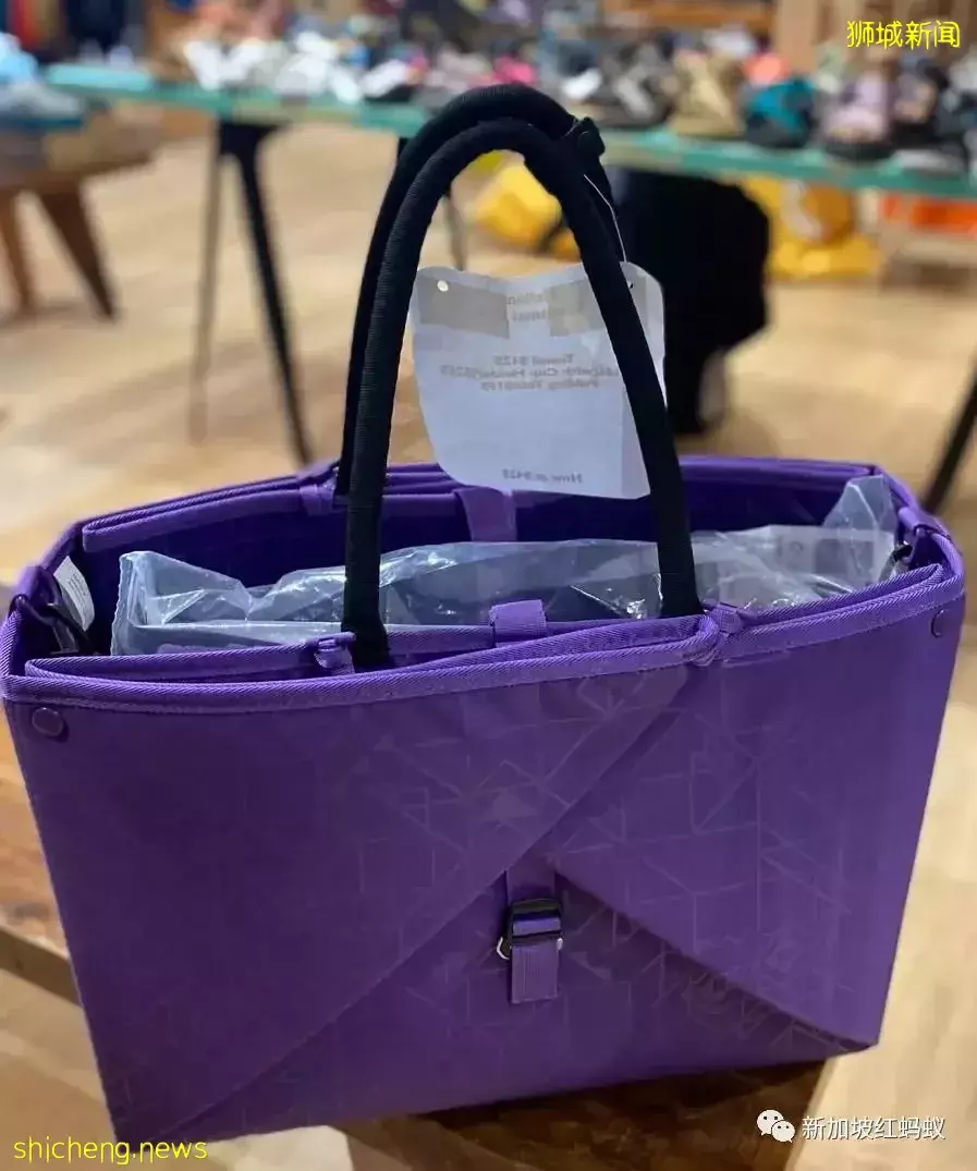 野奢式露營在新加坡日益受歡迎 相關産品越變越時尚好看便利