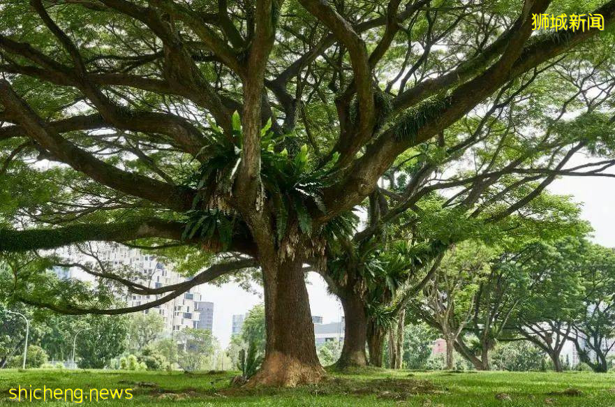 危机中的创新,隽峰开创绿色生活新标杆