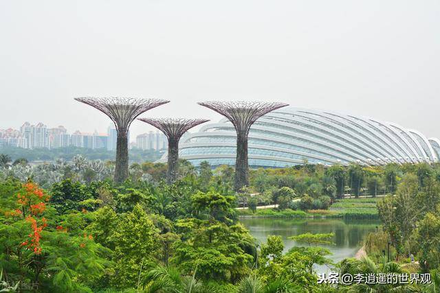 別忽視了新加坡