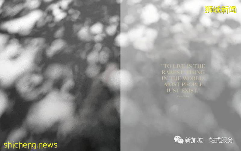 最美麗的自然風光: 新加坡植物園!