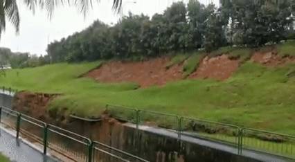 罕見!新加坡聖淘沙這條河變成了粉色,驚現大批死魚!39年創記錄暴雨太作了