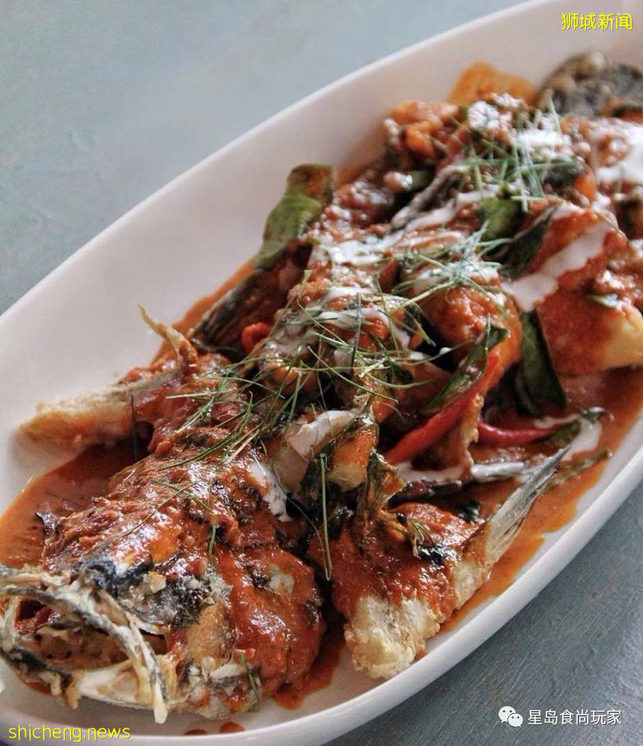 老城區裏的新加坡煮炒 帶你回到南洋的舊時光裏