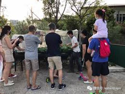 没戴口罩、违反安全距离！新加坡8个月共开出罚金超过250万新币