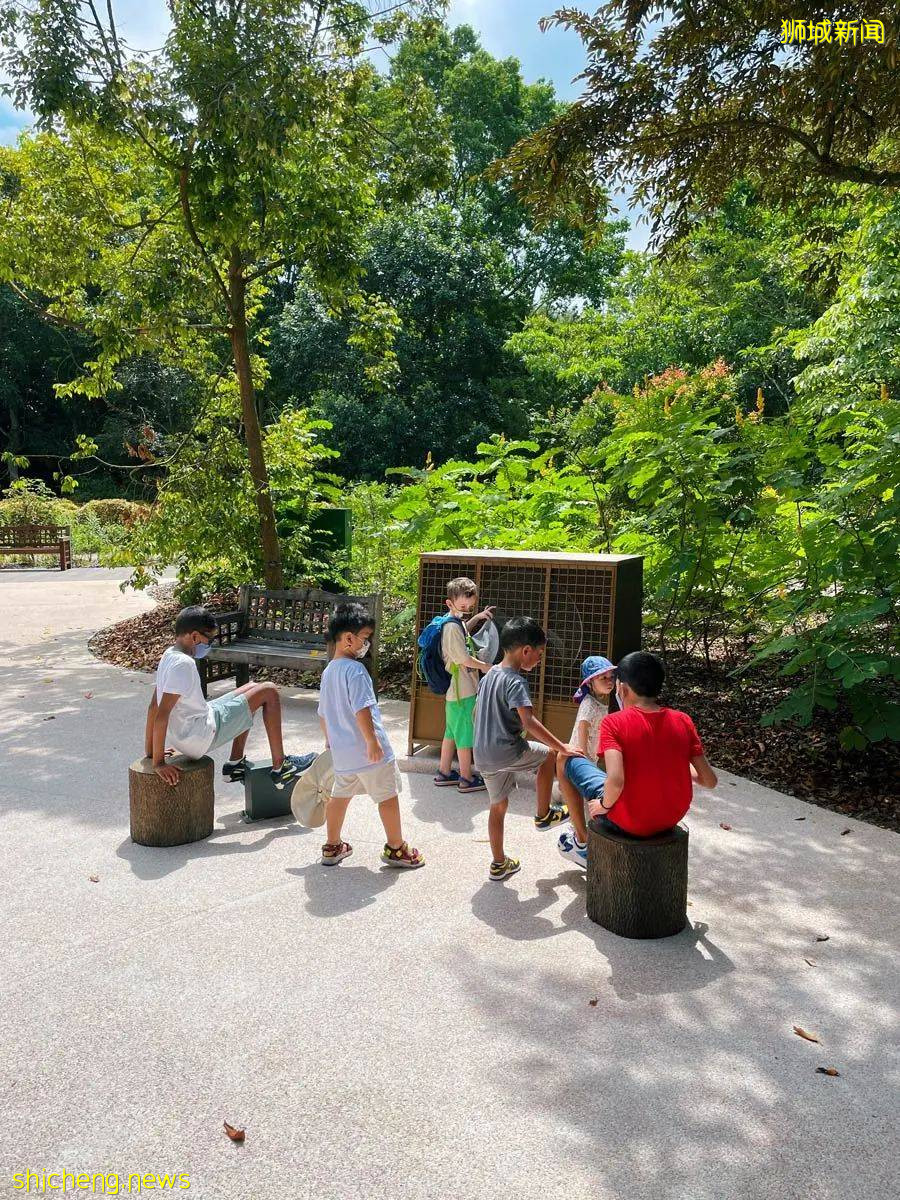 新加坡的娃太太太太幸福了！亞洲最大兒童花園，免~費~玩