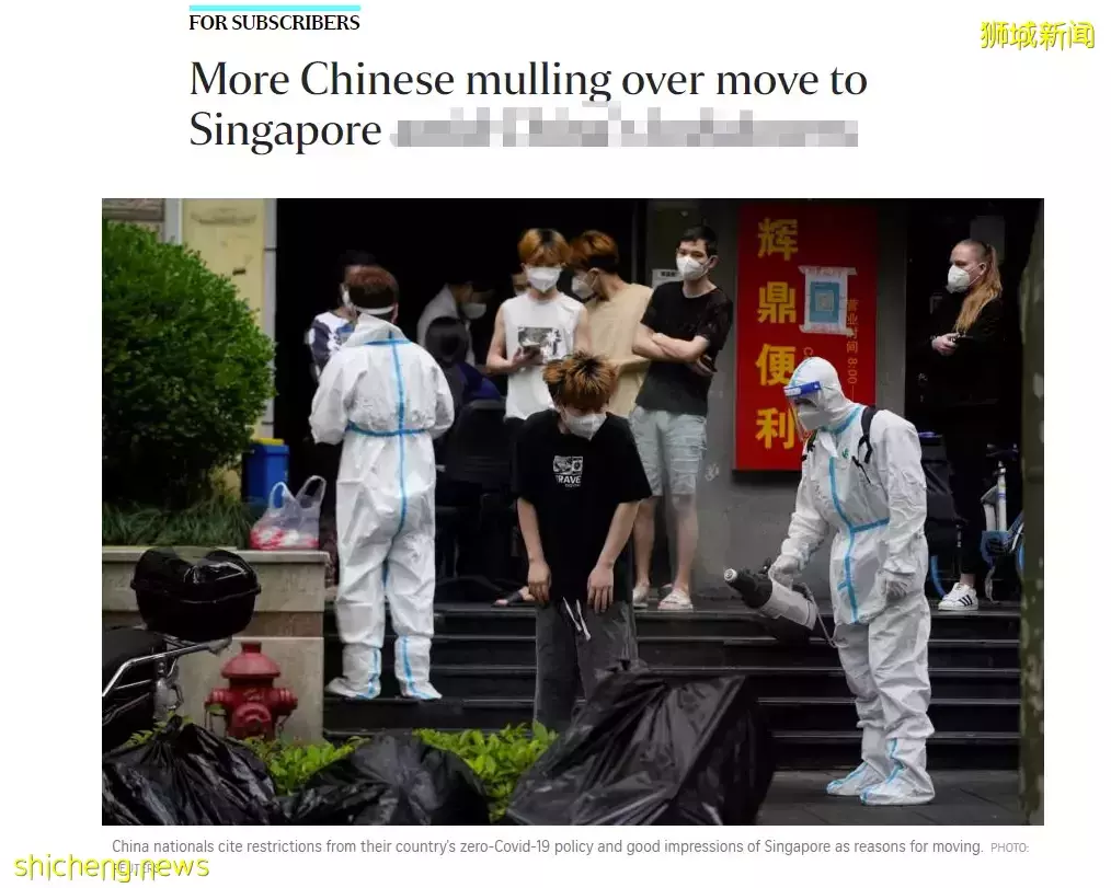 新加坡網友：“台灣求求了，別再cue我們了……”