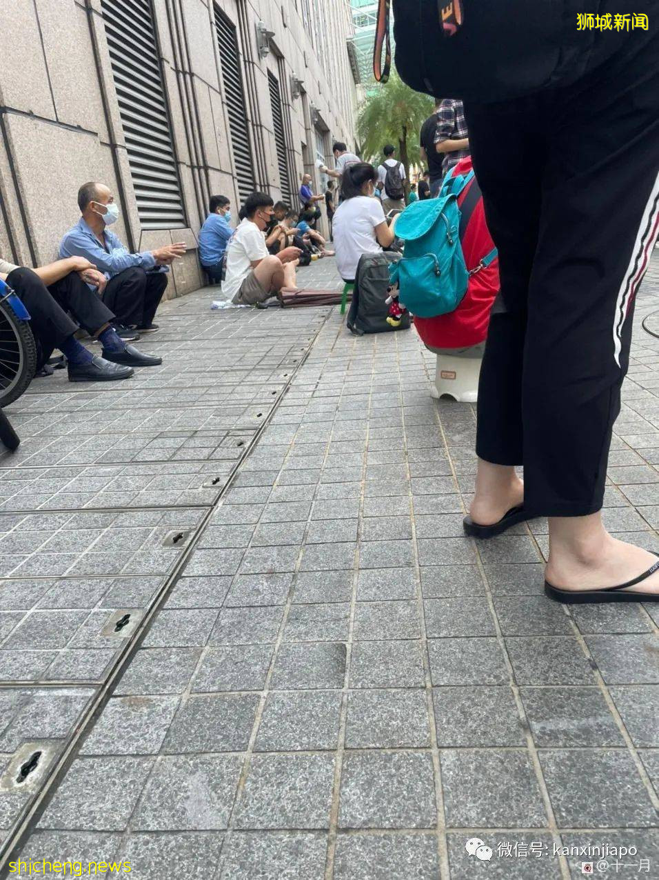 漏夜排队、搬小板凳、千人预约,为打科兴新加坡居民拼了