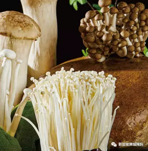 排队5小时!网红凑凑火锅来新加坡了!锅底无限续、奶茶免费喝!菜品大曝光