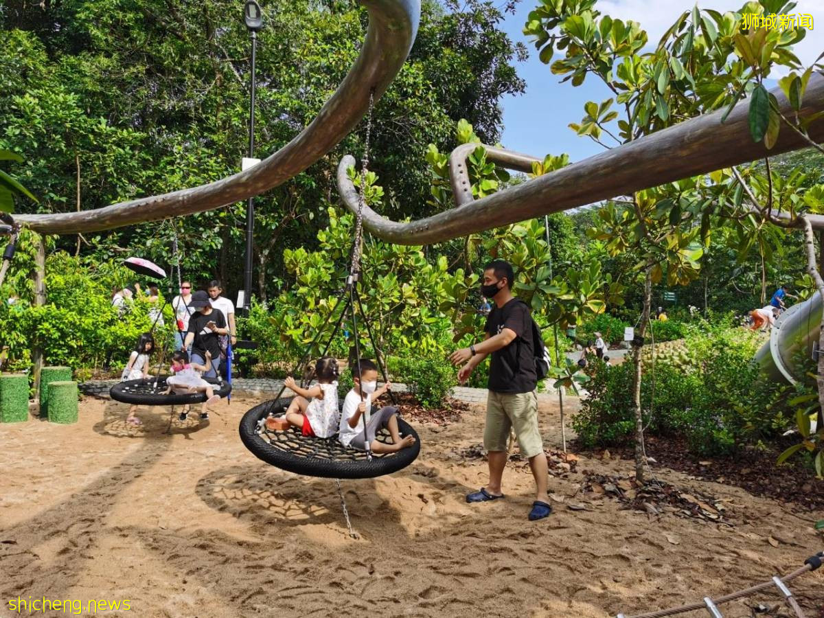 叢林遊樂場、自然博物館、山路徒步……新加坡這個公園翻新後更好玩啦