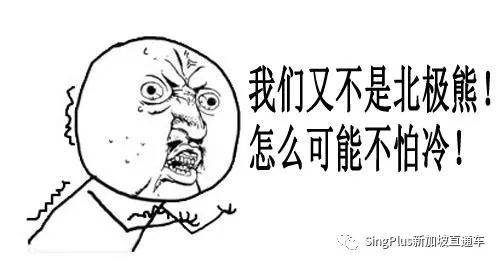 《新加坡最炫東北人圖鑒》