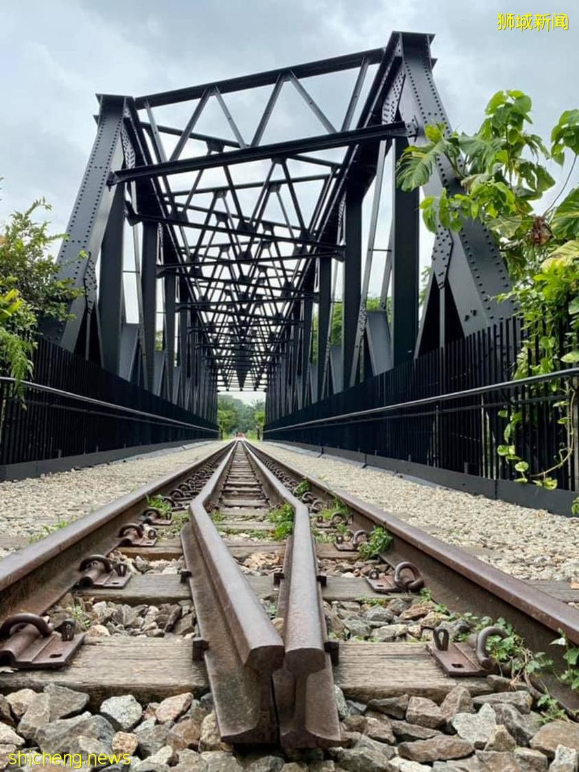 揭秘新加坡最新最热网红打卡地