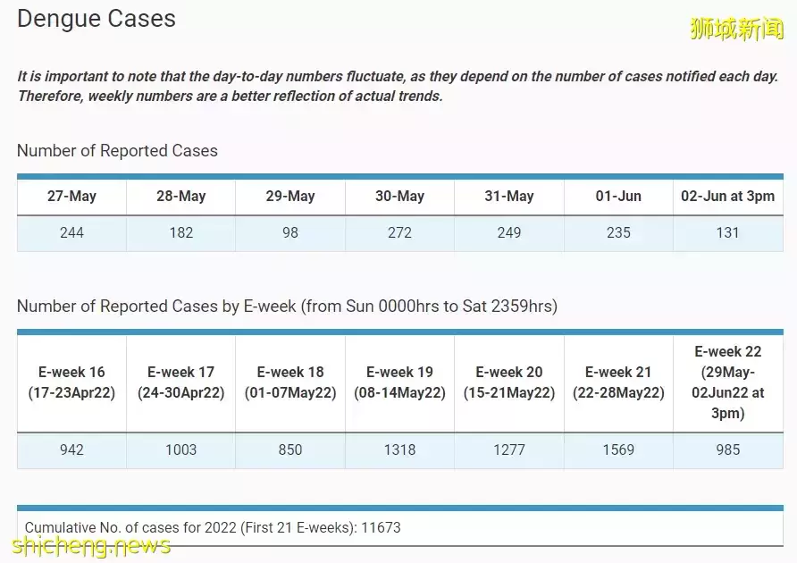 6月骨痛熱症曆史高峰!新加坡每周出現超2000多起病例