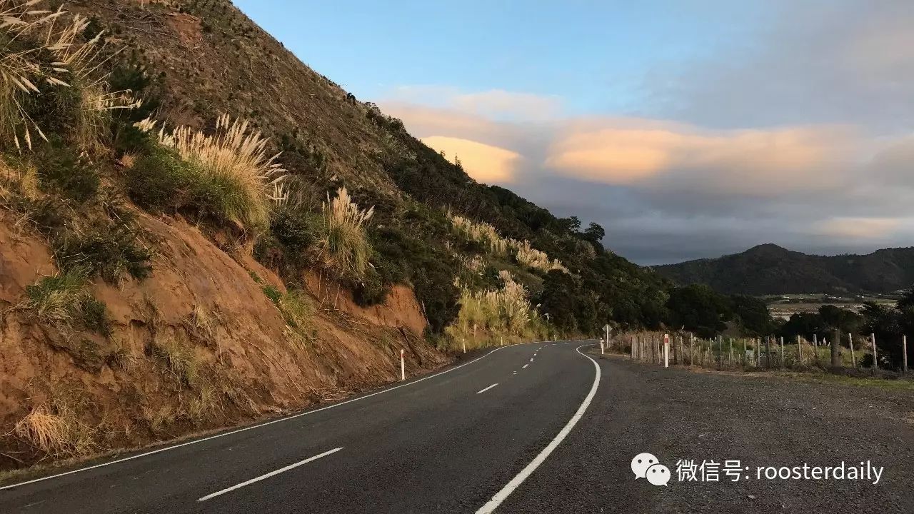 新西兰最东角 | 一个人的公路旅行Day2&amp;3