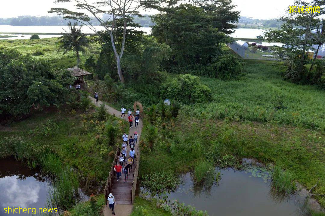 周末帶娃去徒步!10米高木塔、農場、木棧道,湖天一色好美