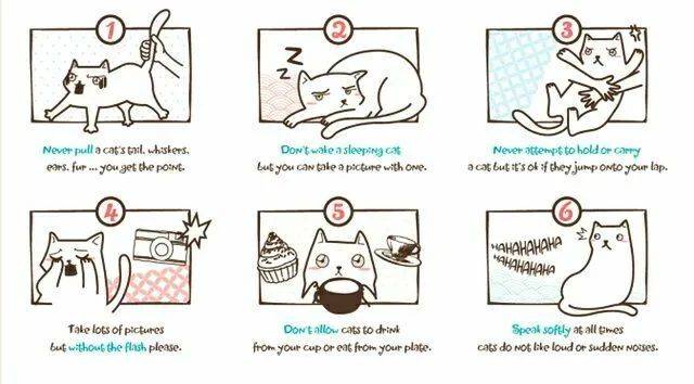 假期撸貓撸狗好去處!新加坡超治愈寵物咖啡店盤點