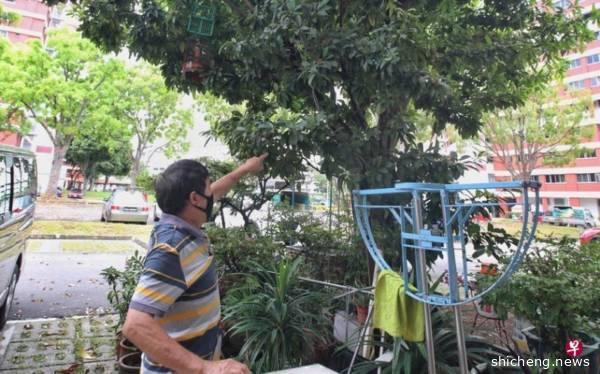 穿雨衣戴口罩 大叔凌晨偷鸟笼