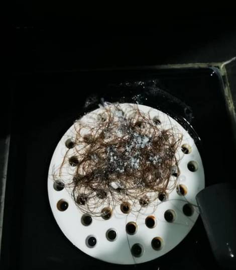 烫头吗?烫到头顶直接“破洞”