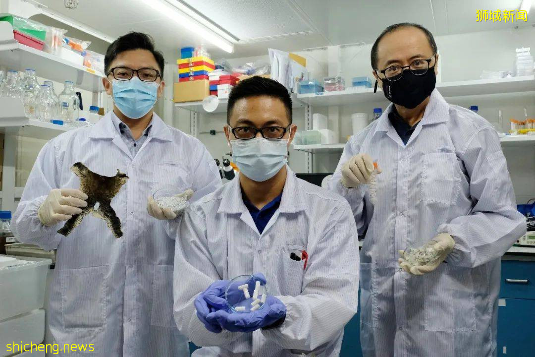 變廢爲寶！NTU科學家將牛蛙皮和魚鱗用于骨骼修複