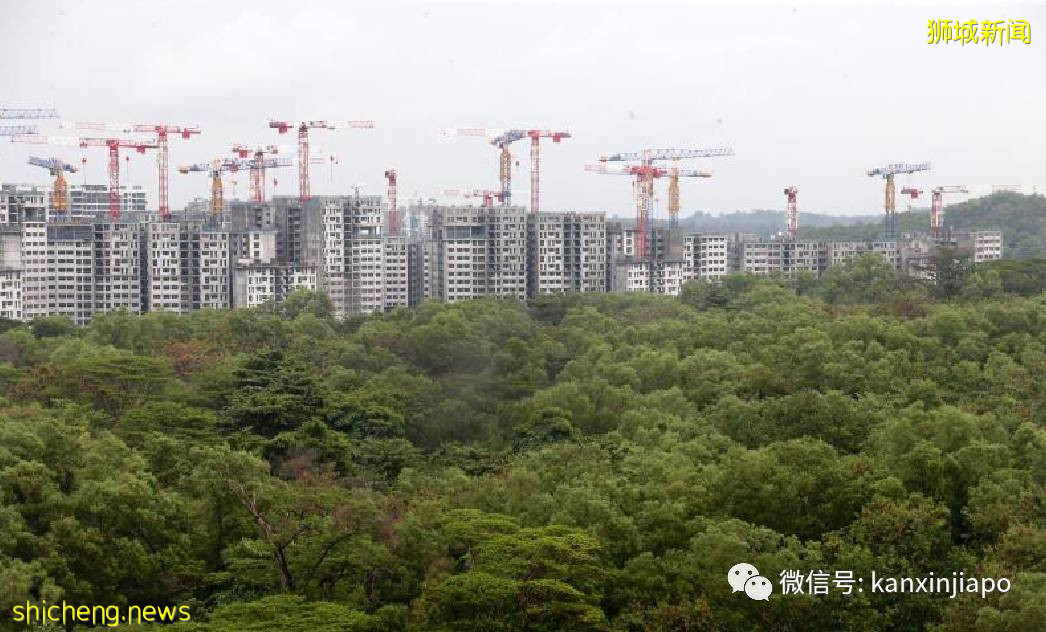 新加坡收緊邊境管控措施,建築行業急缺工人