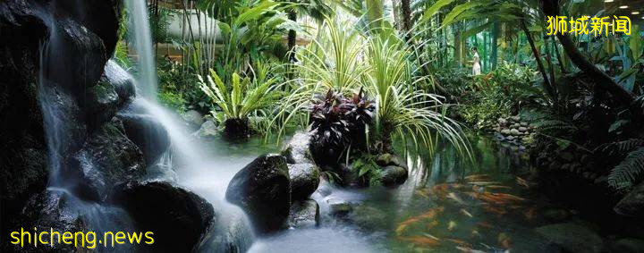 新加坡10家送上门的下午茶！鸡肉派、炭包子、香肠卷