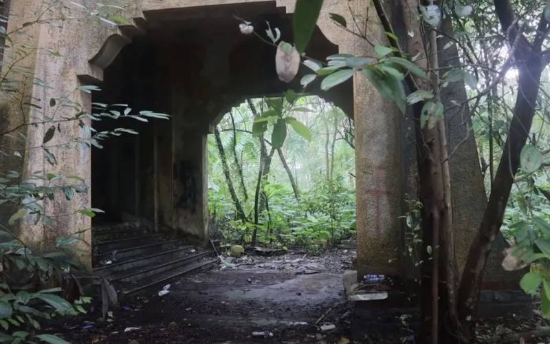 实拍！英国博主非法闯入新加坡“鬼屋”探险，却被网友力挺