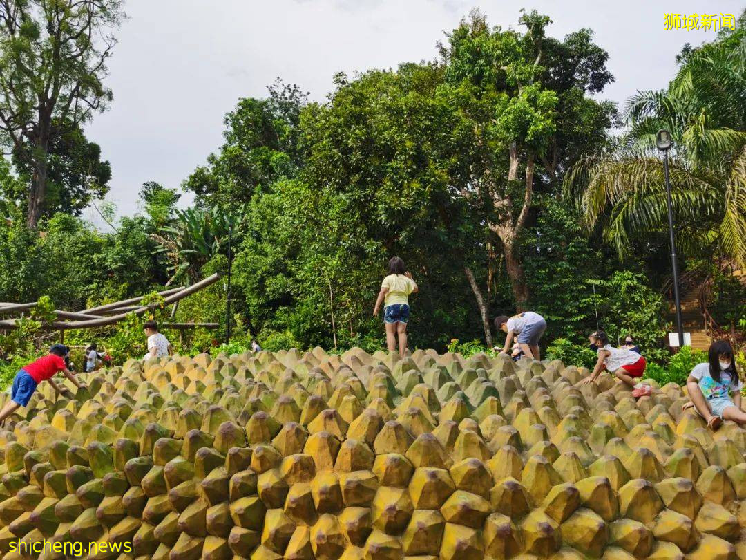 叢林遊樂場、自然博物館、山路徒步……新加坡這個公園翻新後更好玩啦