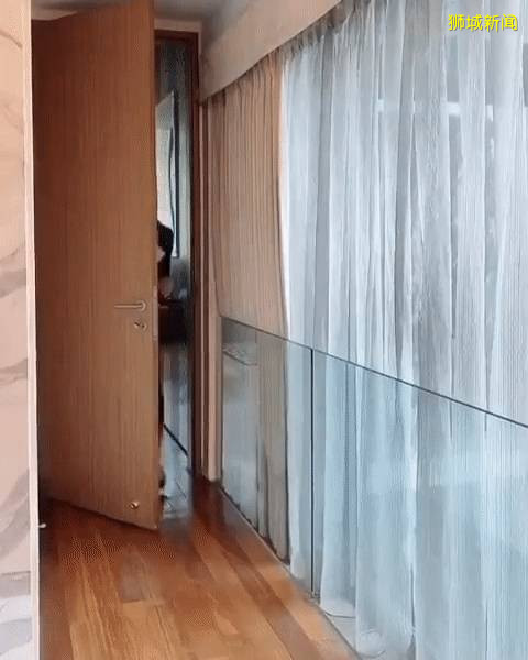 新加坡爱马仕女王晒新包,网友:老包能送我吗