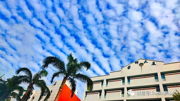 “地震雲”昨早刷爆朋友圈！很少看過這麽“怪異”的朝陽