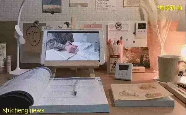 中新国际学校大对比,新加坡留学为什么那么热门