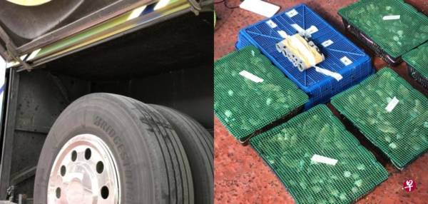 图走私815只鸟类入狮城 巴士传出鸟啼声揭发 司机关卡被捕