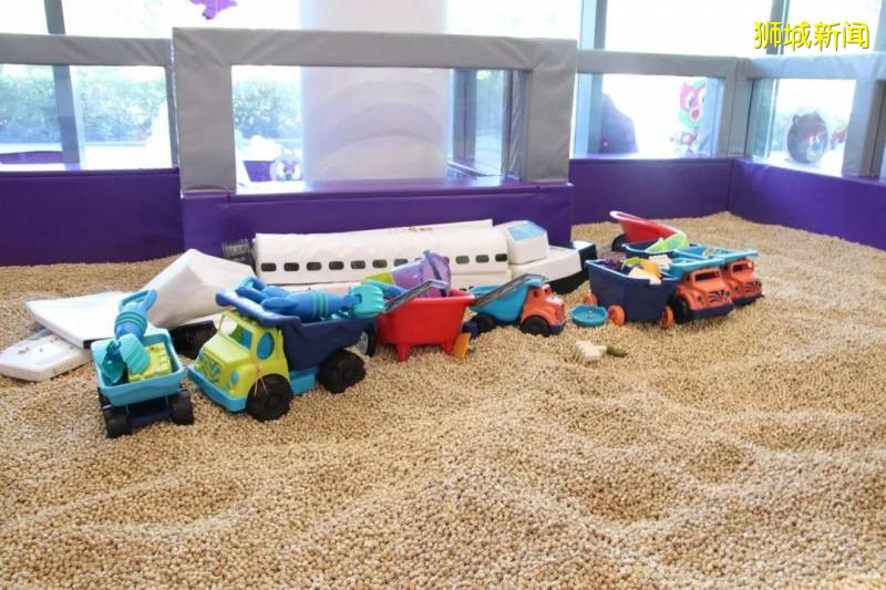 豪氣送門票！新加坡最大的室內遊樂場重新開業，首場爆滿