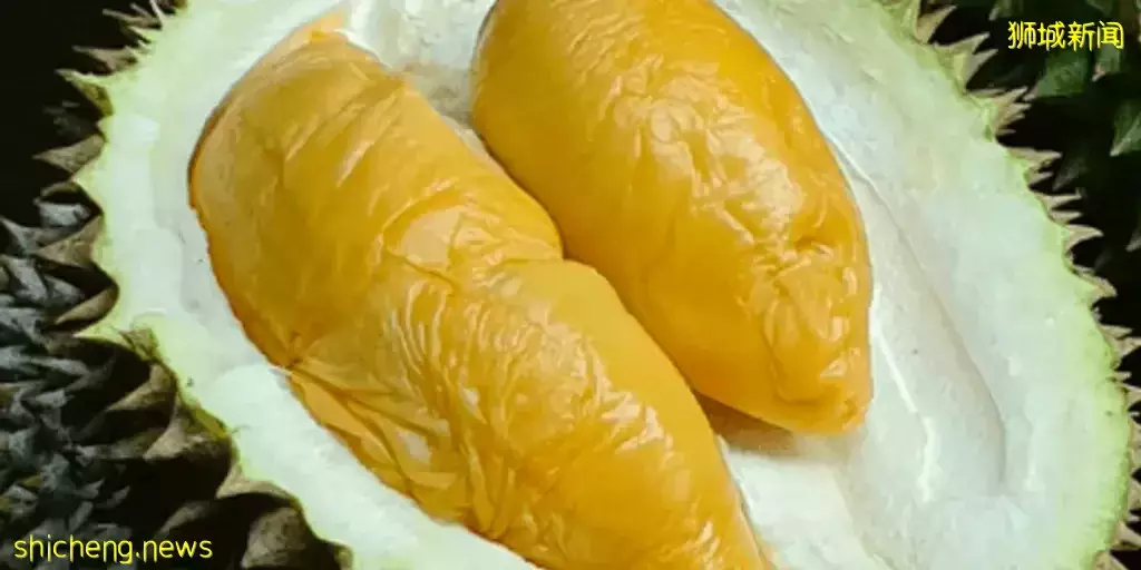 因爲減産,都漲價了!新加坡最火的11種榴梿價格表出爐