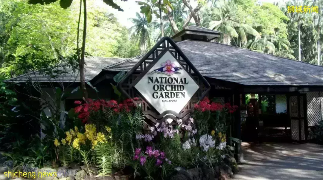 3 Orchard By The Park 【永久業權世代傳承】第十郵區烏節路上繁華地段中的甯靜奢華