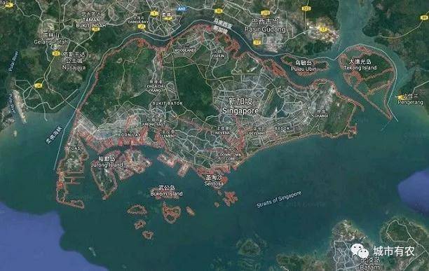 新加坡重視農業科技發展,對中國農業有何啓示