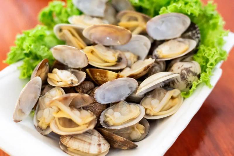 新加坡椰子鸡新店开业啦！椰子鸡吃多少送多少