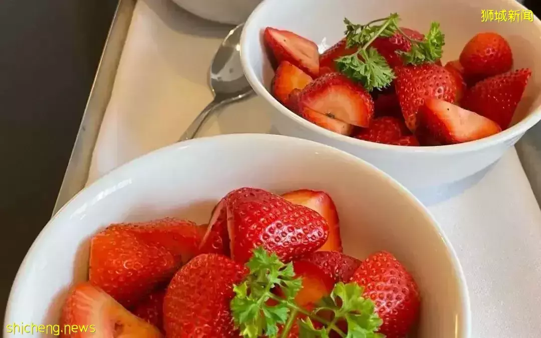 超幸運!疫情期間在新加坡坐郵輪,普通房免費升級成帶管家服務的星級套房