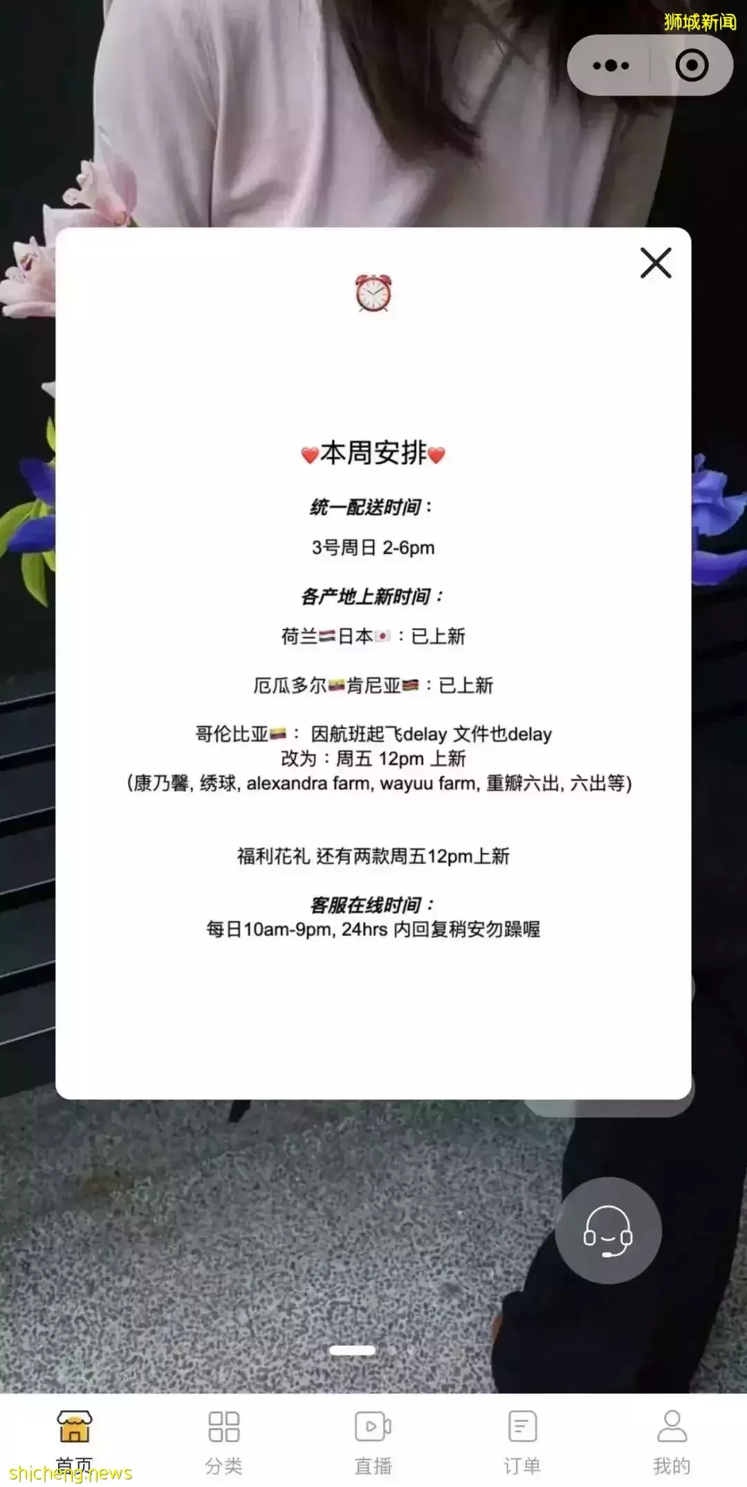 鮮花在熱帶也能養1個月？資深花友新加坡買花、養護大揭秘