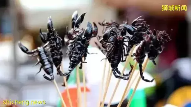 在新加坡很快将吃到昆虫制作的高蛋白食品？大家敢尝试么