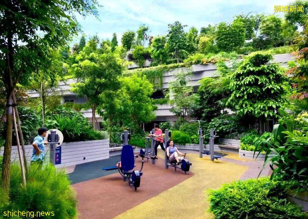 遠嫁新加坡，我該如何給父母養老